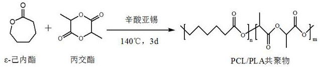 Preparation method of degradable tissue glue based on polylactic acid and polycaprolactone copolymer