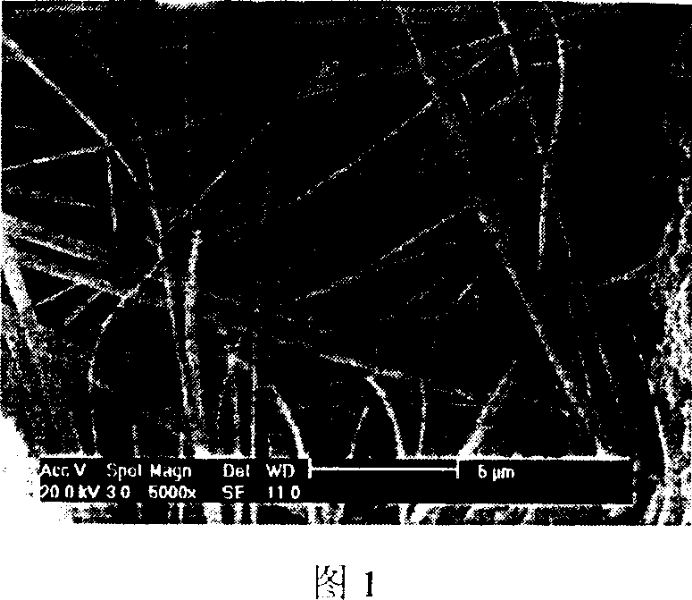 Method for producing nano-wire or nano-belt of zinc oxide