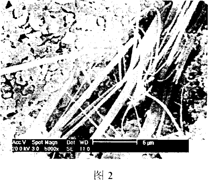 Method for producing nano-wire or nano-belt of zinc oxide