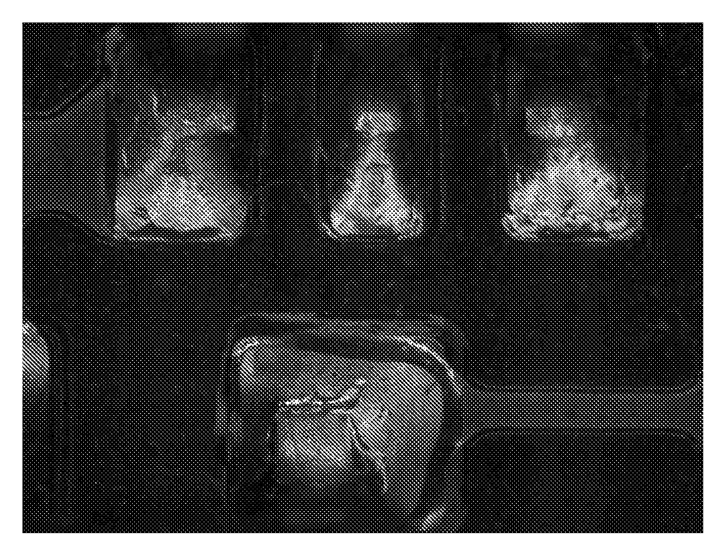 Magnification Observation Apparatus and Method For Photographing Magnified Image