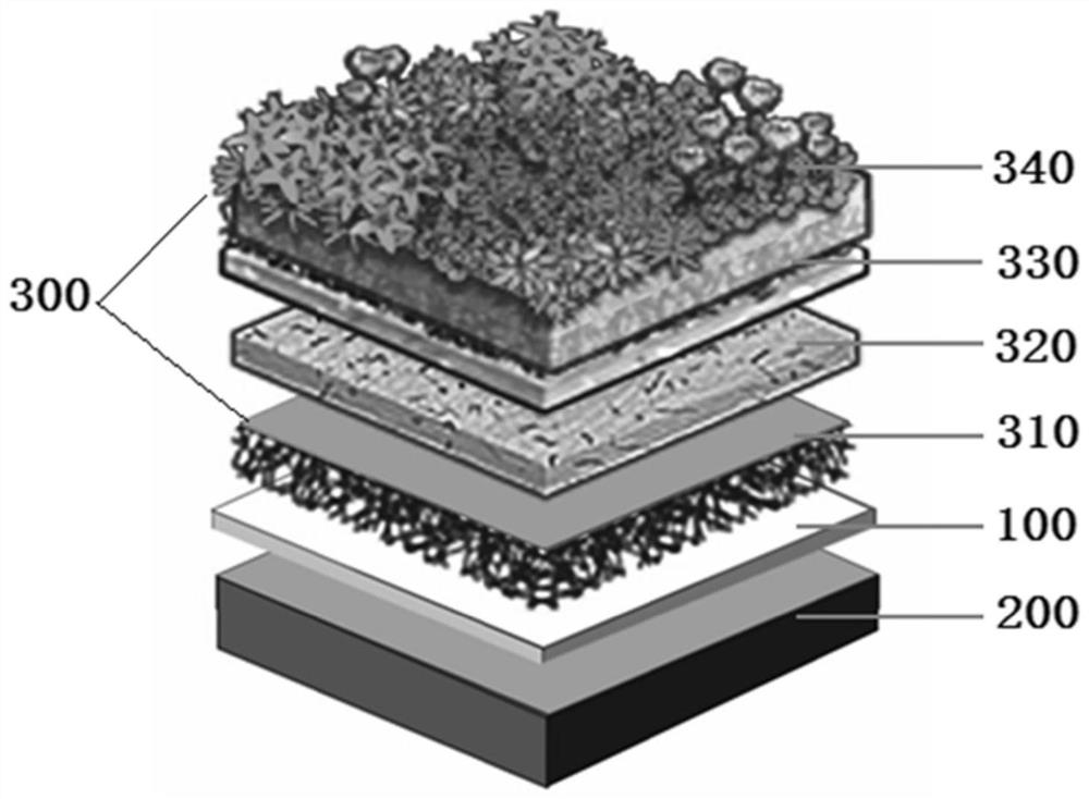 Roof green plant system