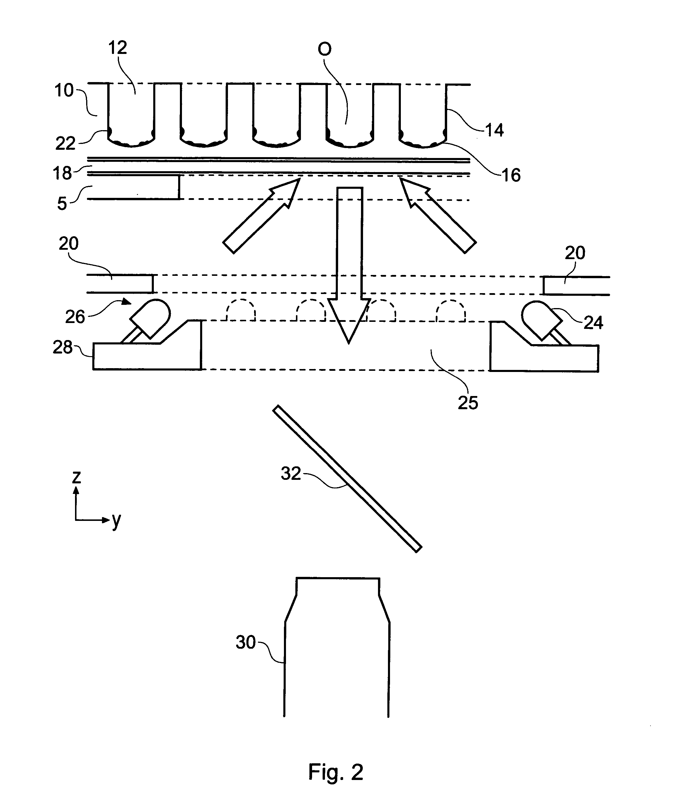 Animal cell confluence detection method and apparatus