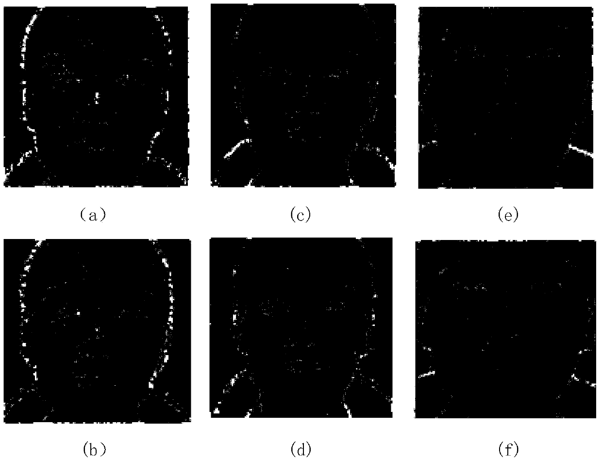 Face Liveness Detection Method Based on Light Field Camera