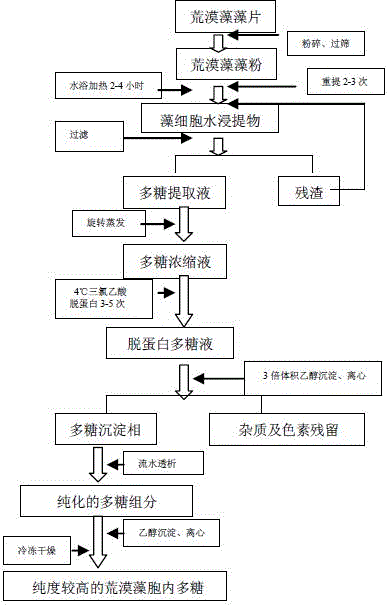 Extraction method of microcoleus vaginatus intracellular polysaccharide