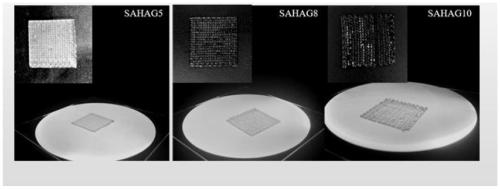 Biological 3d printed active biological membrane for improving AMIC technology cartilage repair and preparation method thereof