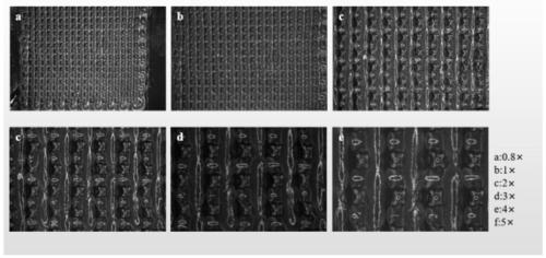 Biological 3d printed active biological membrane for improving AMIC technology cartilage repair and preparation method thereof