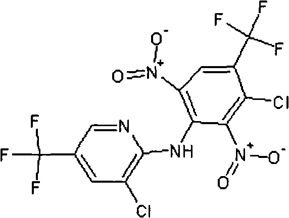 Synergistic bactericidal composition containing fluazinam and carbendazim and application thereof