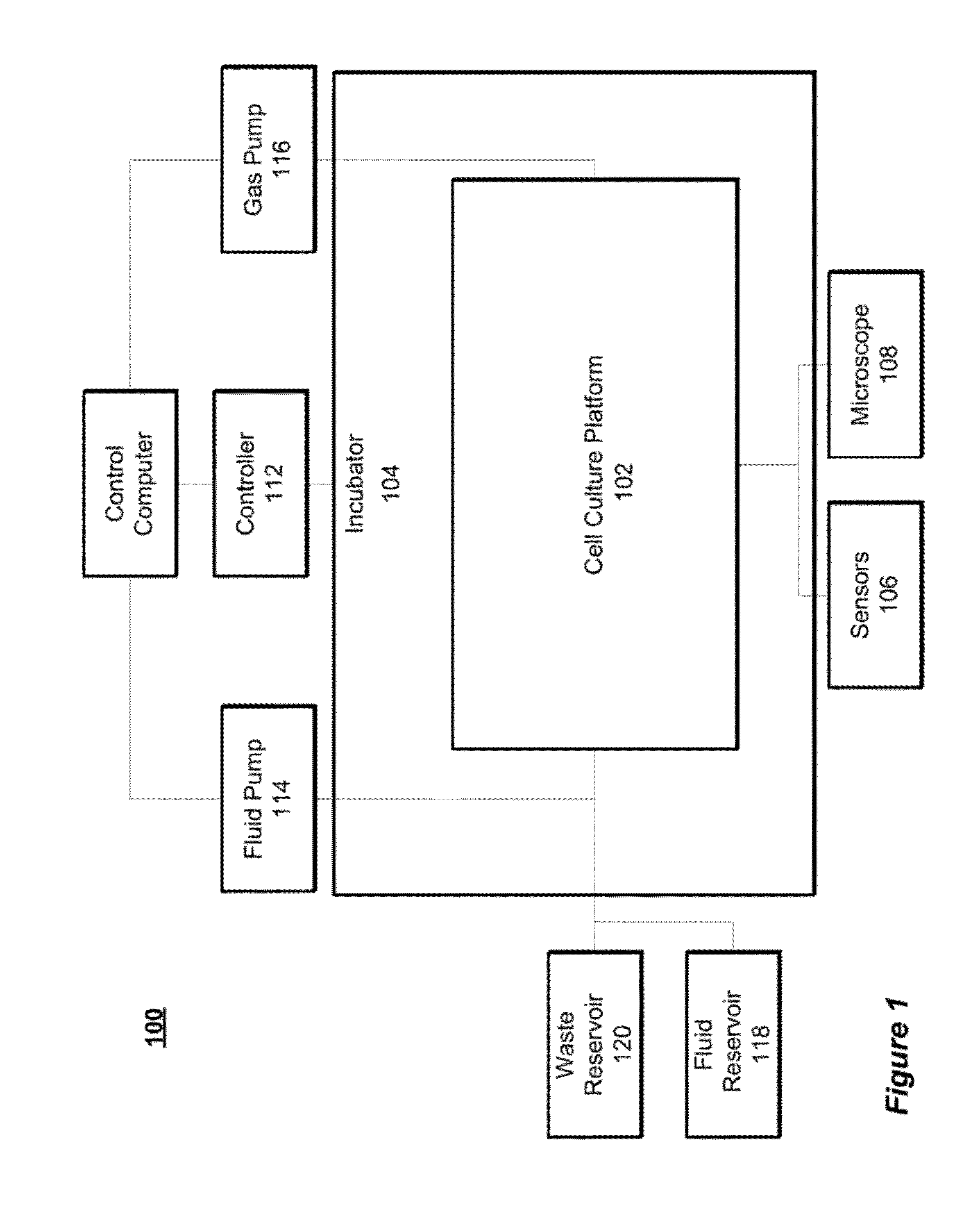 Modular platform for multi-tissue integrated cell culture