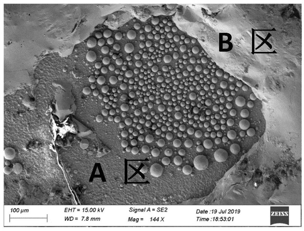 A kind of preparation method of refractory metal molybdenum protective film resistant to liquid lead and bismuth corrosion