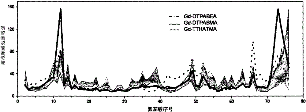 Gadolinium complex used for solution paramagnetic relaxation enhancement probe and synthetic method thereof