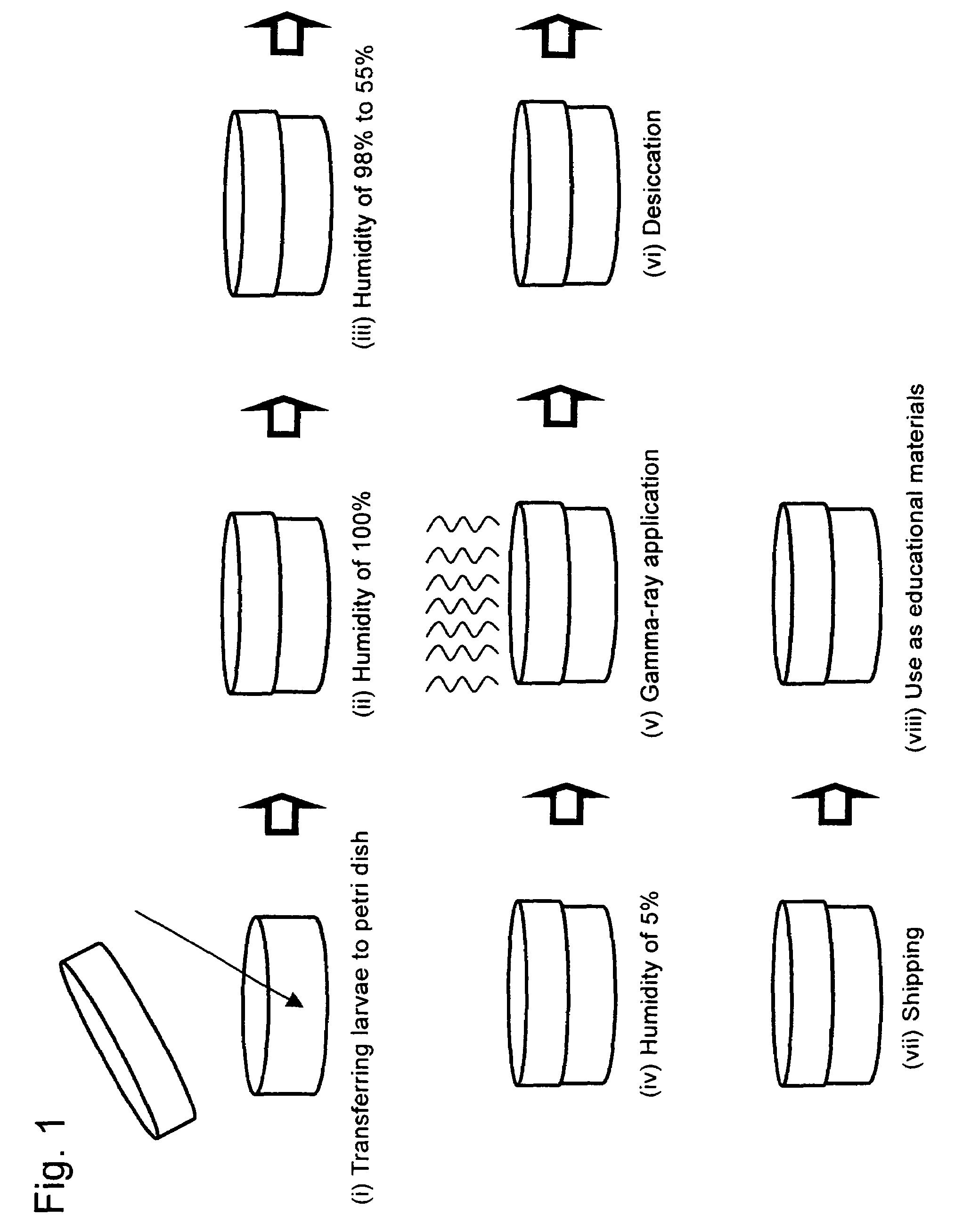 Dehydration procedures for induction of cryptobiosis in insect larvae