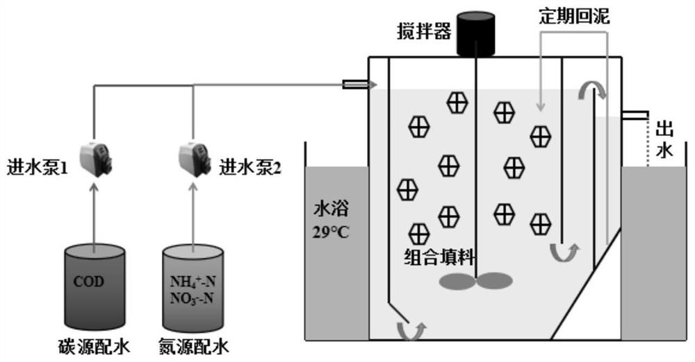 Method for rapidly establishing short-cut denitrification-anaerobic ammonia oxidation coupled denitrification system and application thereof