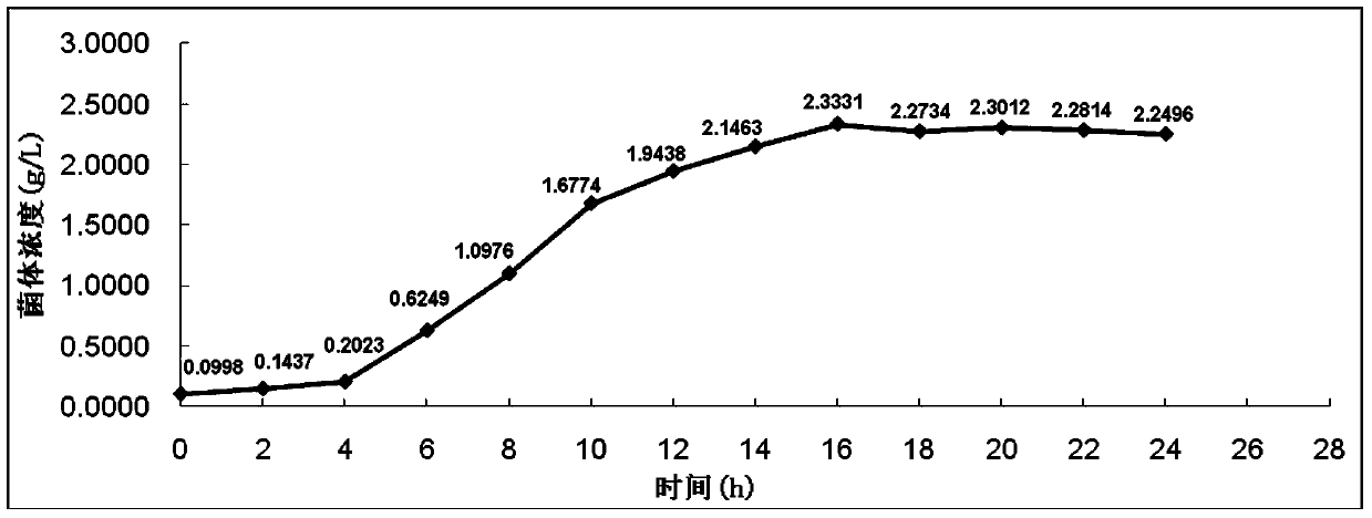 A kind of bacillus and its high-density culture method