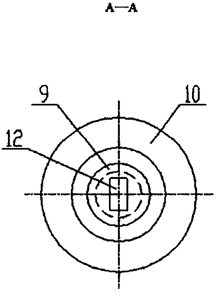 Screwing-in anchoring device for crane