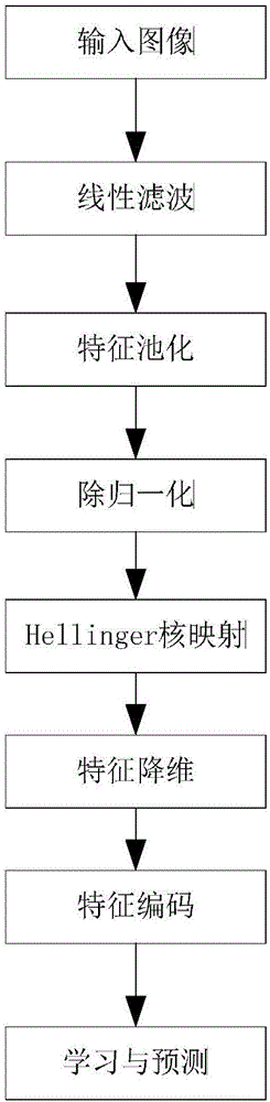 High-resolution remote sensing image classification method based on feature pooling and divisive normalization expression