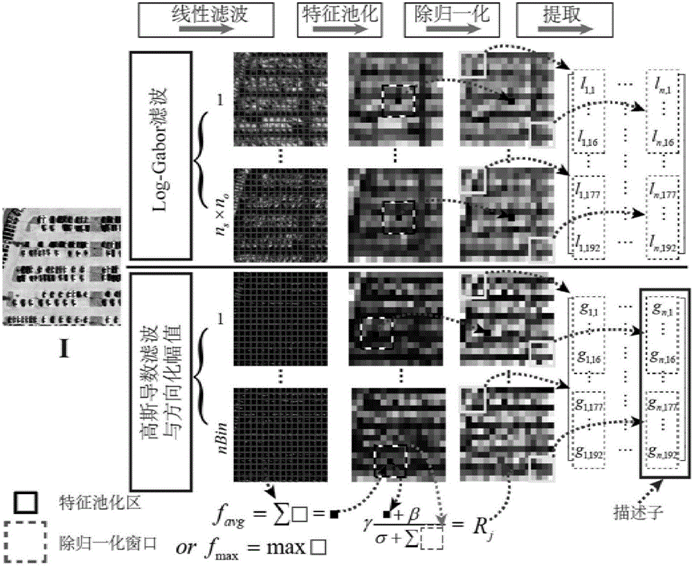 High-resolution remote sensing image classification method based on feature pooling and divisive normalization expression