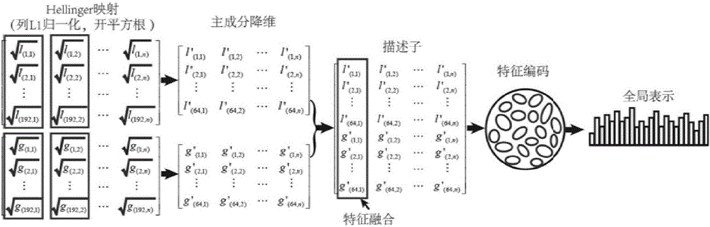 High-resolution remote sensing image classification method based on feature pooling and divisive normalization expression