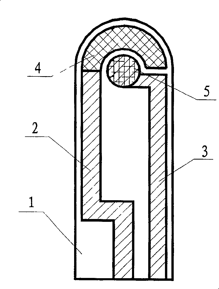 Siphon nano-biosensing chip and preparing method thereof