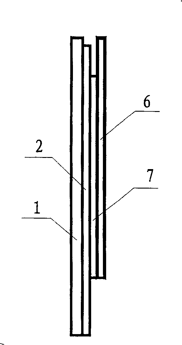 Siphon nano-biosensing chip and preparing method thereof