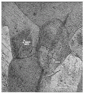 Heat treatment method of positive electrode lead band or grid