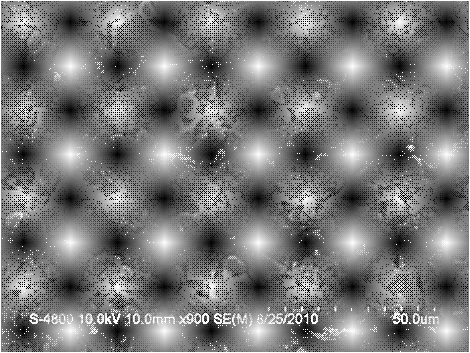 Solid electrolytic capacitor electrode slice and preparation method thereof