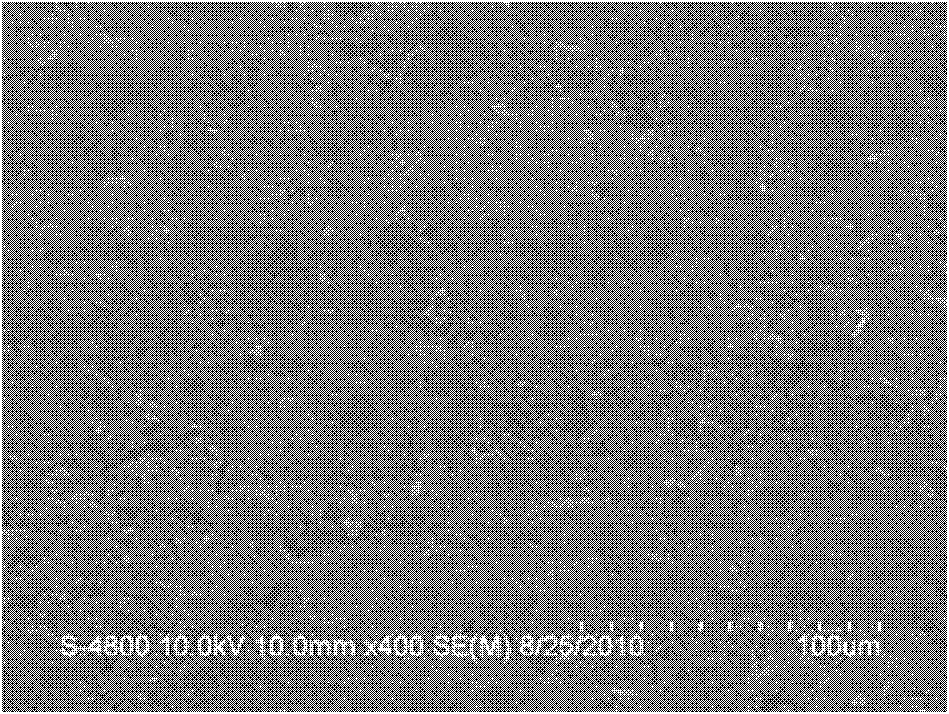 Solid electrolytic capacitor electrode slice and preparation method thereof