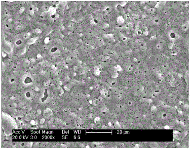 Method for preparing anti-microbial, mildew-resistant and corrosion-resistant membrane layer on magnesium metal surface