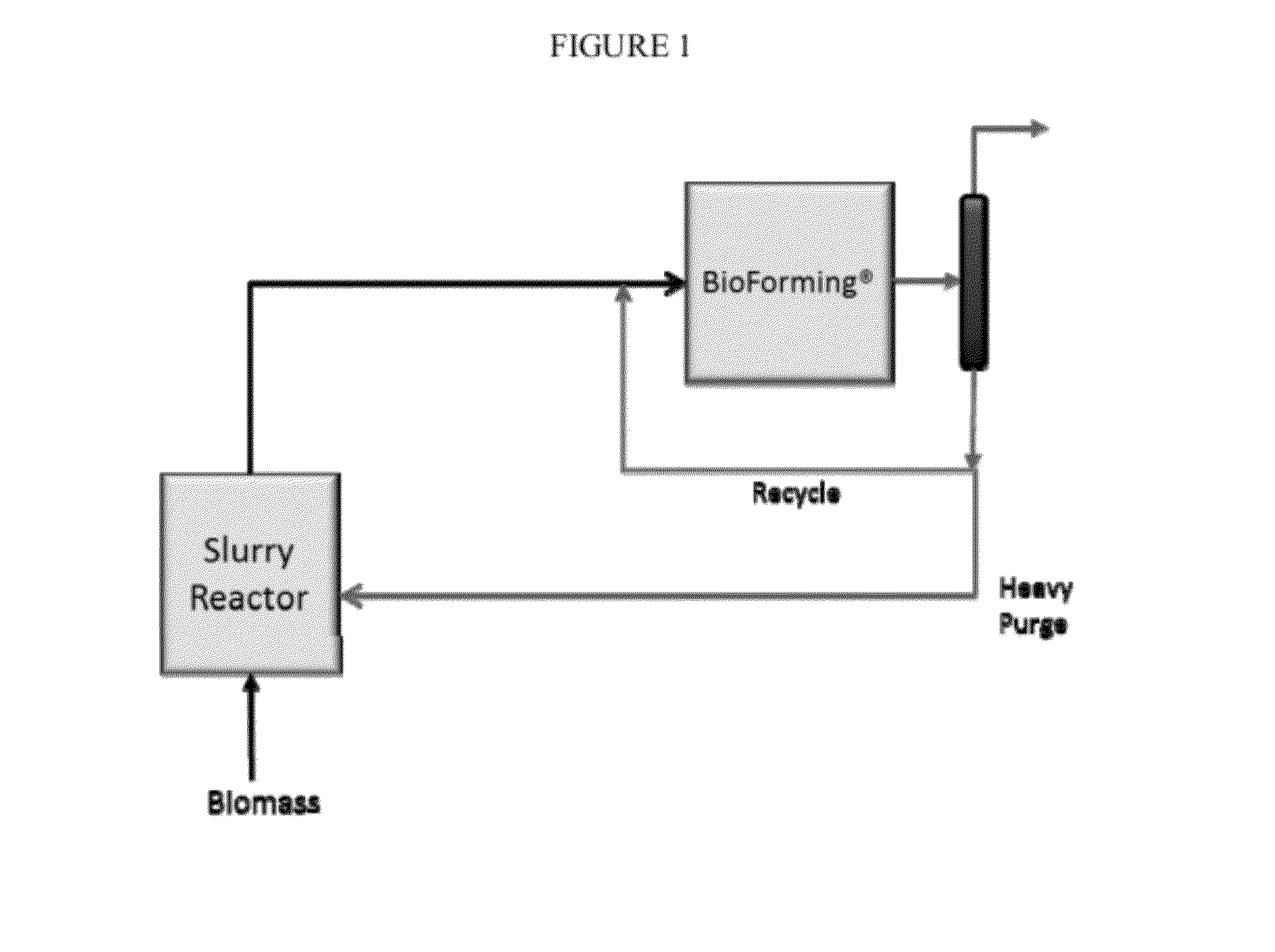 Solvolysis of biomass to produce aqueous and organic products