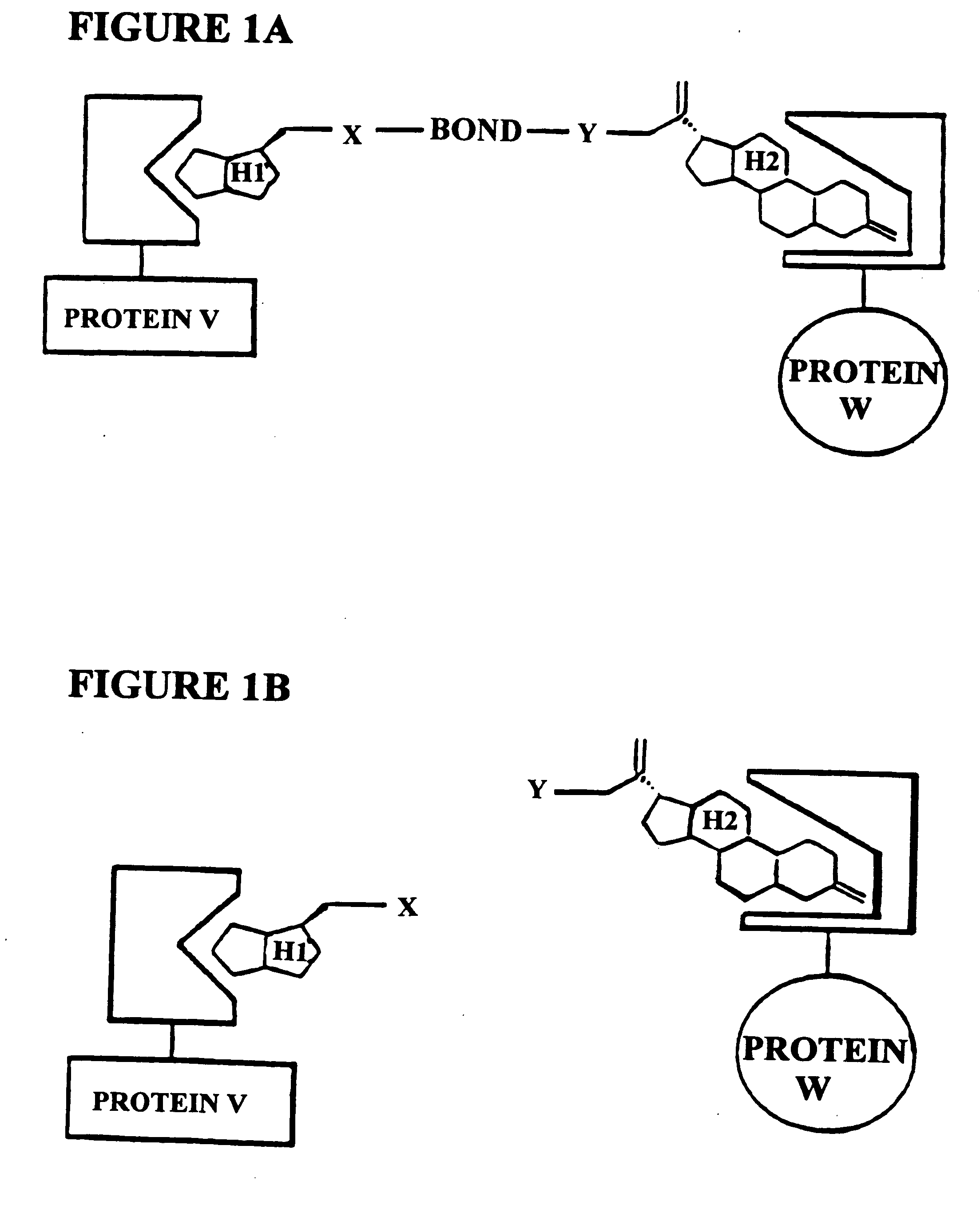 In vivo screen using chemical inducers of dimerization