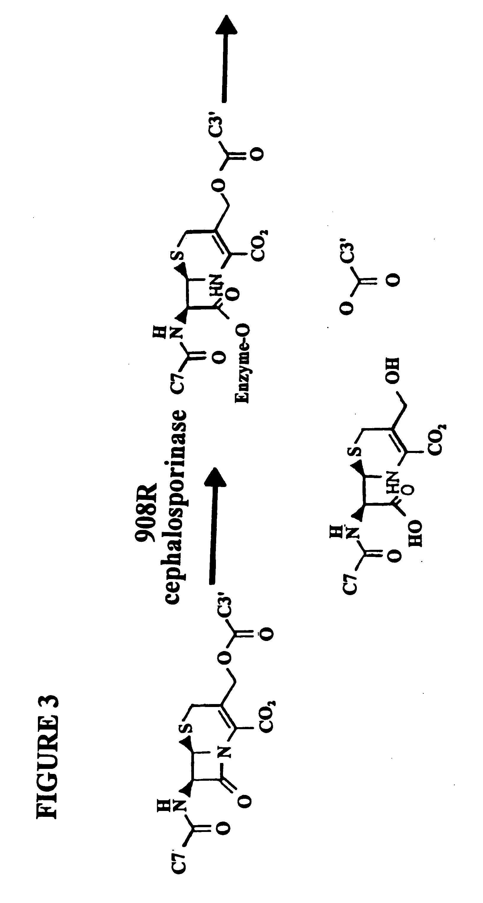 In vivo screen using chemical inducers of dimerization