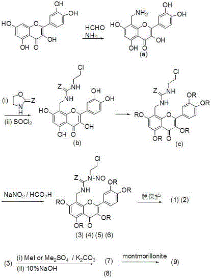 Quercetin derivative and preparation method and application thereof