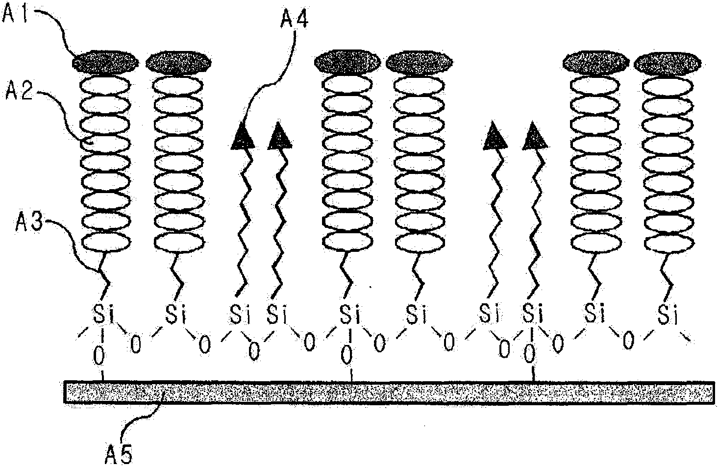 Surface treatment method for treating surface of substrate to be highly hydrophobic