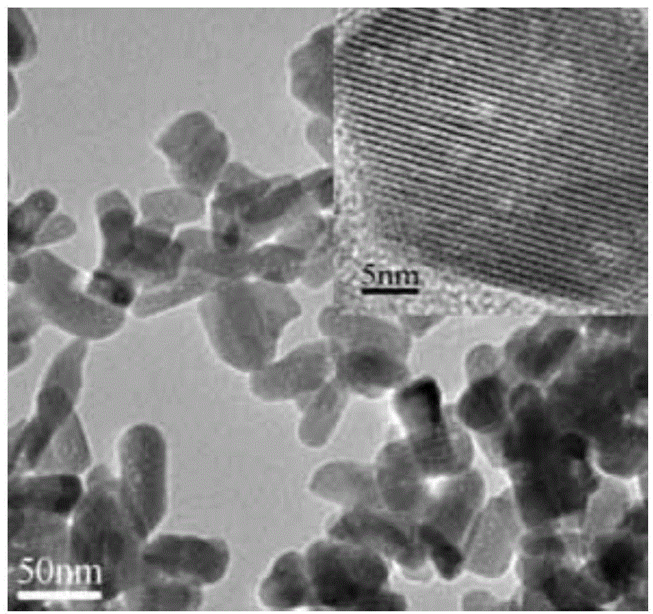 Preparation method of mesoporous apatite nano-drug carrier with reduction responsiveness and cellular targeting property for hepatoma cell