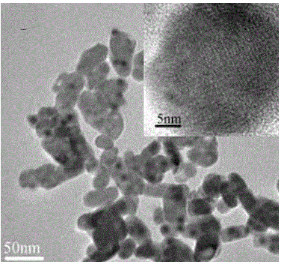 Preparation method of mesoporous apatite nano-drug carrier with reduction responsiveness and cellular targeting property for hepatoma cell