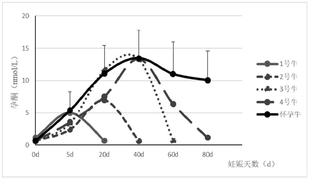 Screening method of receptor cattle