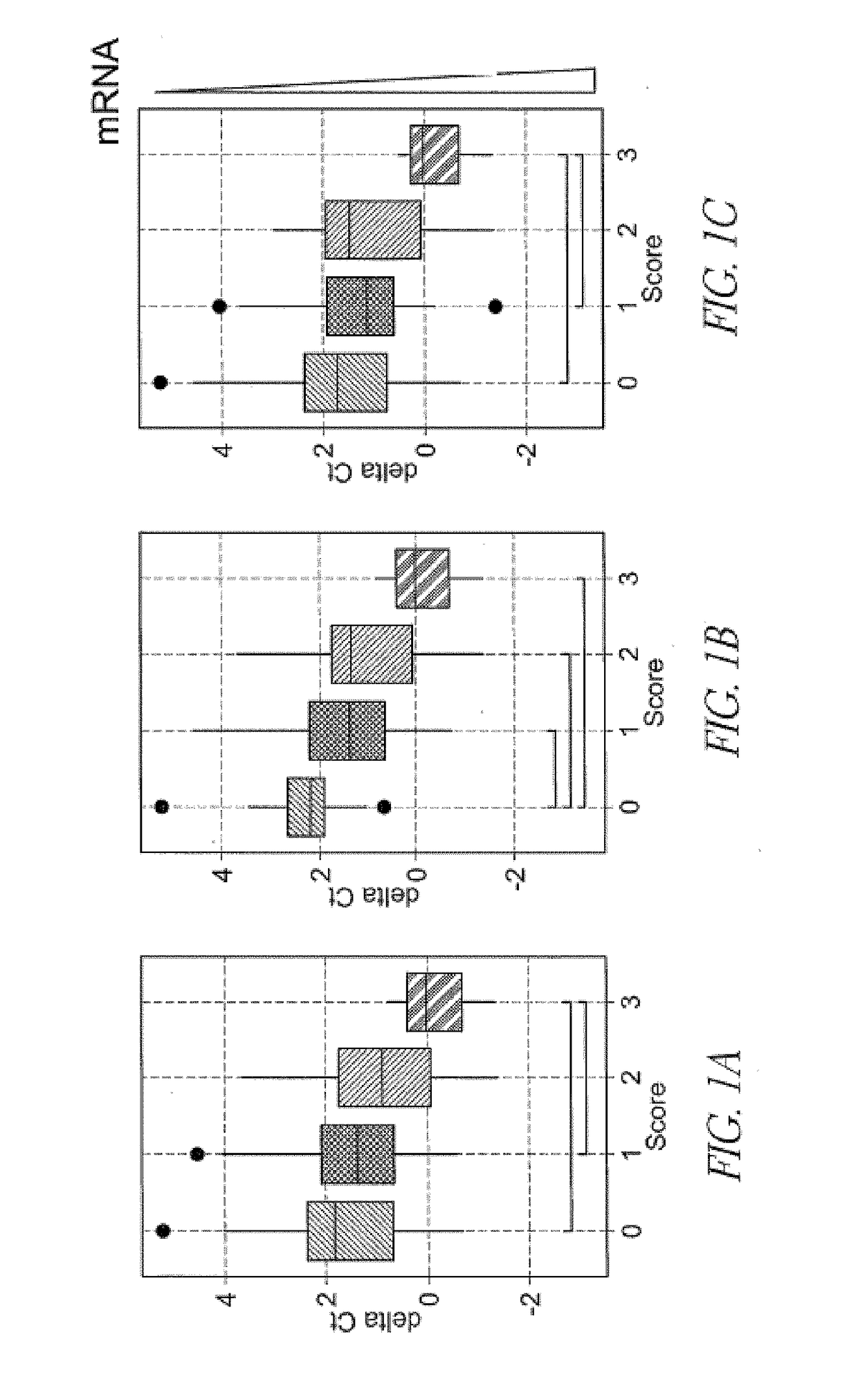 Molecular methods for assessing post kidney transplant complications