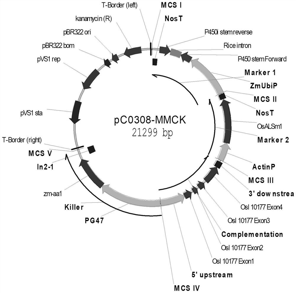 Genetic intelligent breeding and seed production carrier for crops