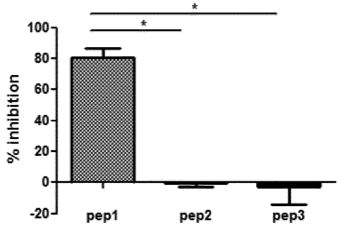 Polypeptides for the diagnosis and the treatment of c3 nef associated c3 glomerulopathy