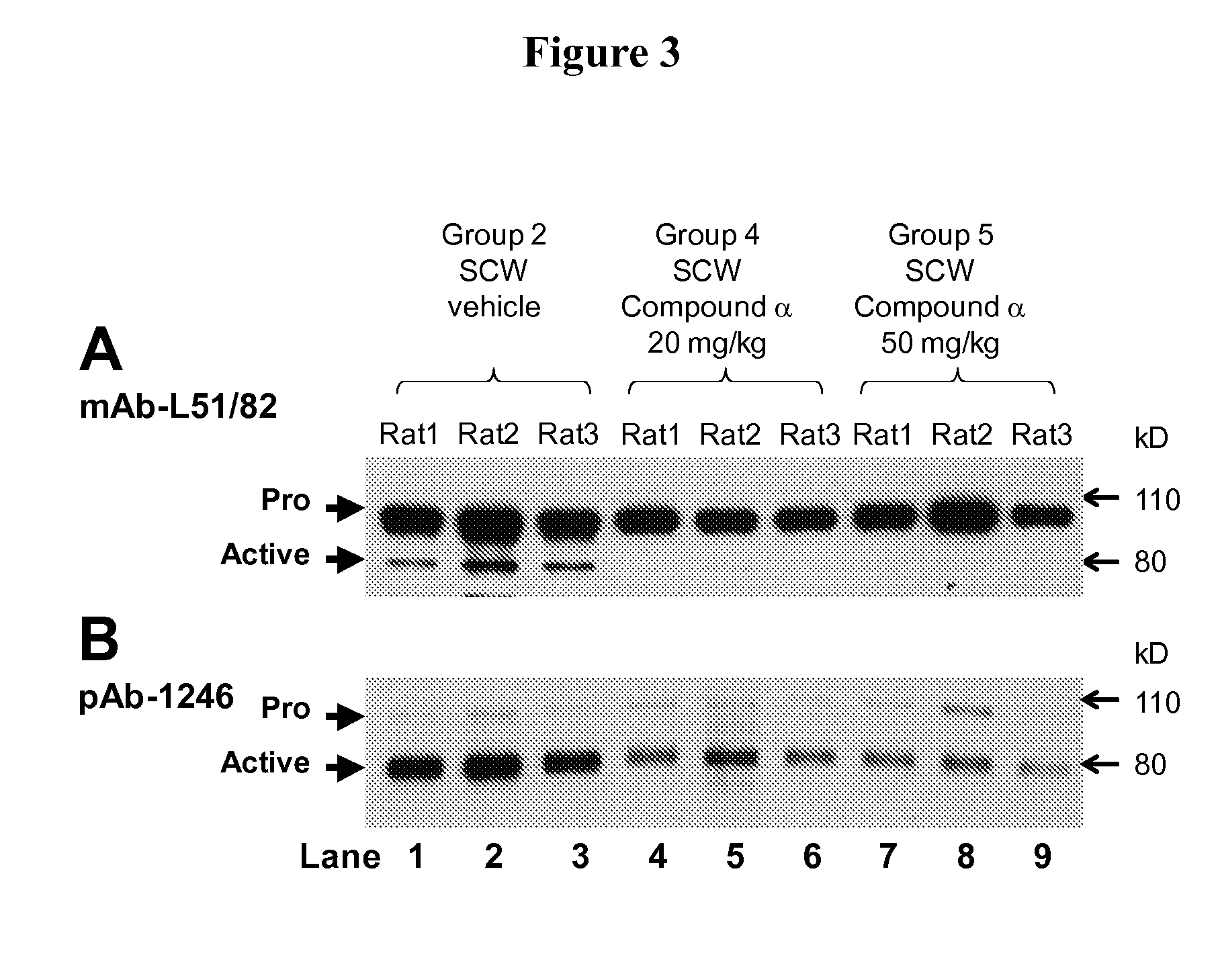 Phenyl-thiazolyl inhibitors of pro-matrix metalloproteinase activation