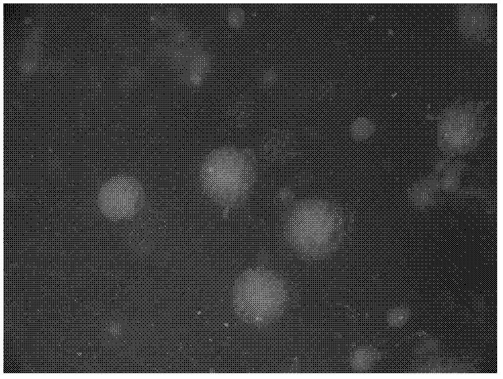 Mycoplasma hyopneumoniae DJ-166 strain and application thereof