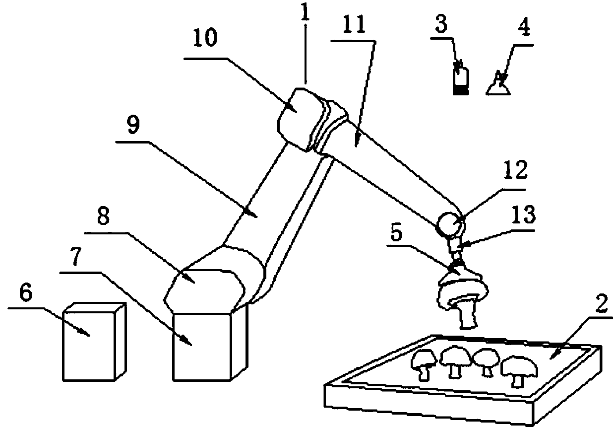 Mushroom picking robot system and picking method