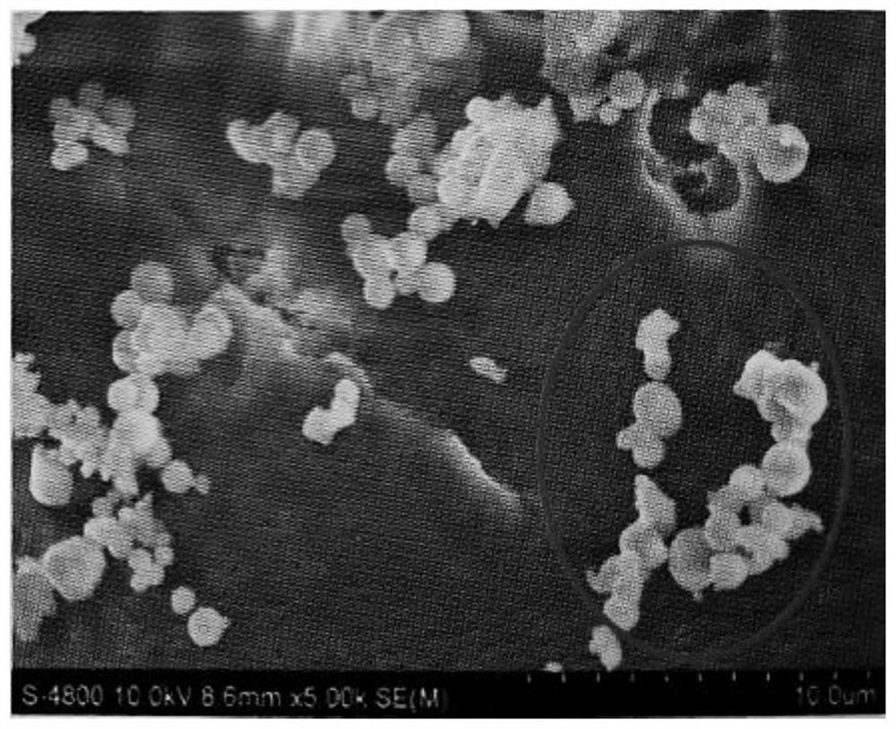 Ultra-clean discharge integrating system and synergic removal method of circulating fluidized bed boiler