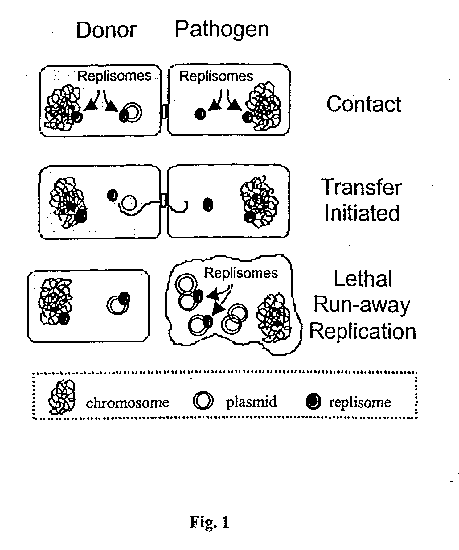 Anti-microbial biotherapeutic agents: alternatives to conventional pharmaceutical antibiotics