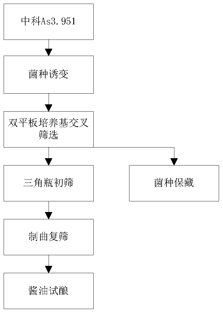 Aspergillus oryzae ZA184 and use thereof