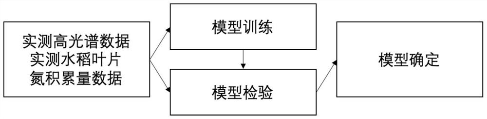 Rice leaf nitrogen accumulation remote sensing inversion model and method