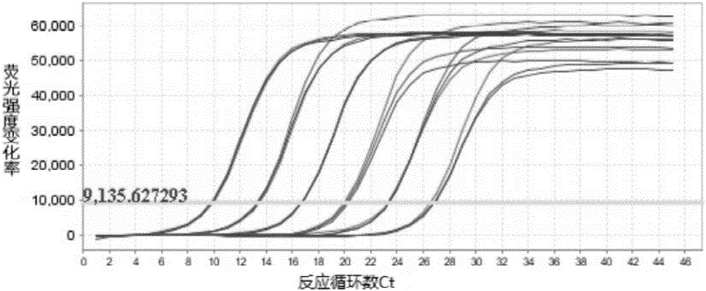 Specific gene segment suitable for real-time fluorescent quantitative PCR detection of pseudomonas PPZ-1 as well as primers thereof and applications