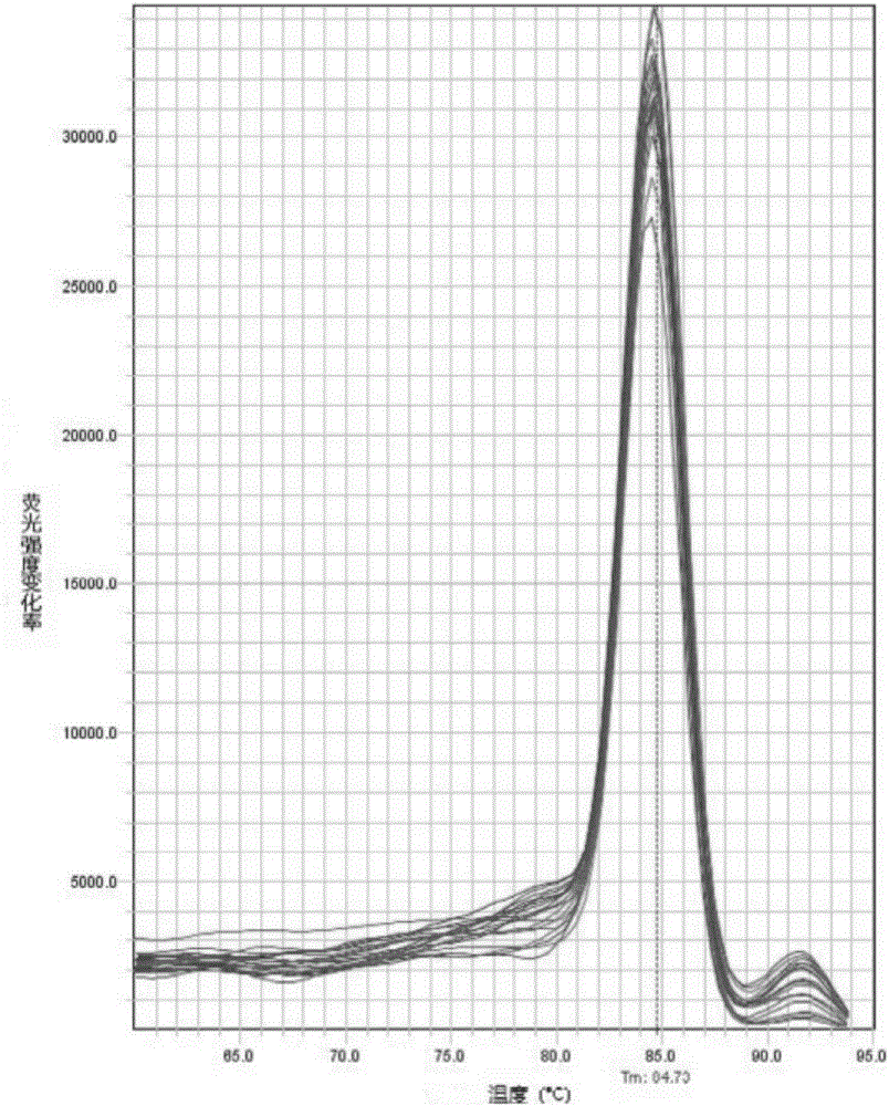 Specific gene segment suitable for real-time fluorescent quantitative PCR detection of pseudomonas PPZ-1 as well as primers thereof and applications