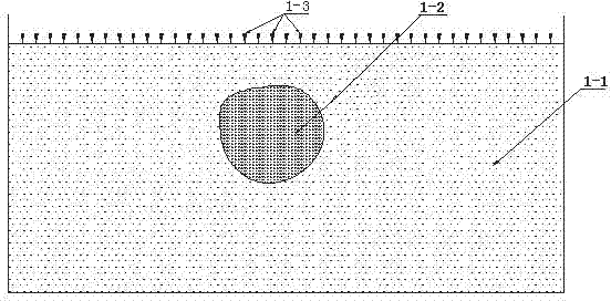 Method for positioning constructed wetland blocked region through composite profiling apparent resistivity curves