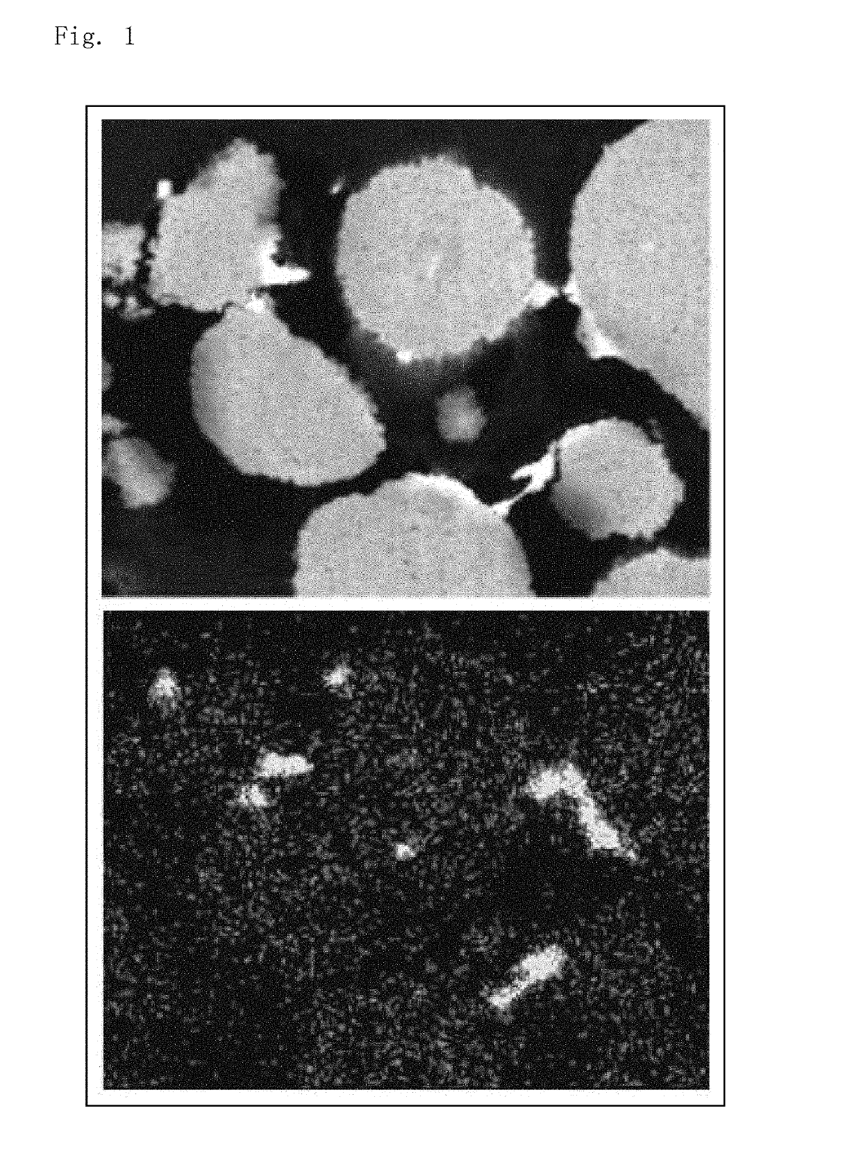 Positive electrode active material for nonaqueous electrolyte secondary battery, method for producing the same, and nonaqueous electrolyte secondary battery including the same