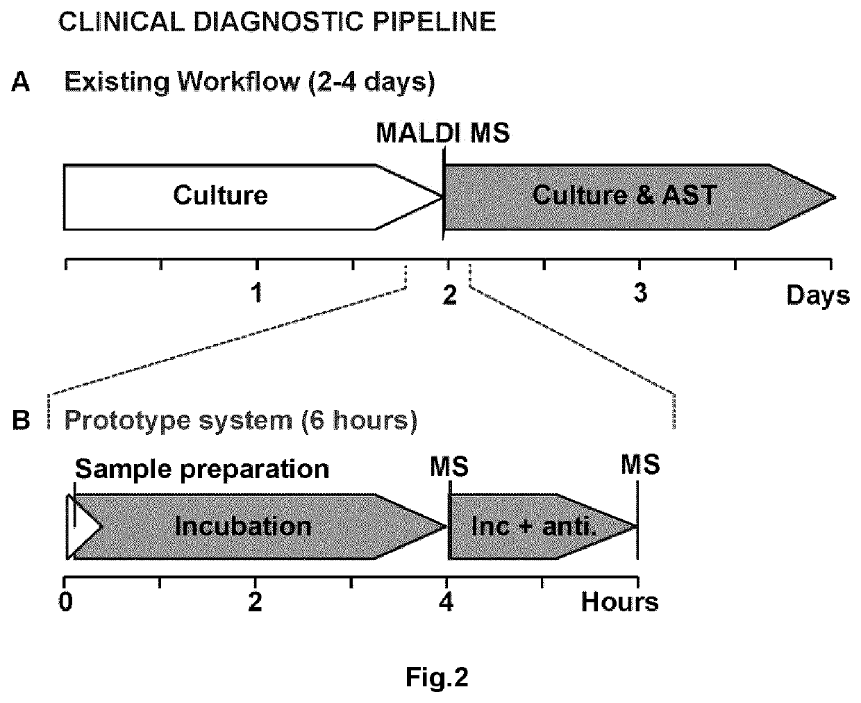 Device, Method, And System For Identifying Organisms And Determining Their Sensitivity To Toxic Substances Using The Changes In The Concentrations Of Metabolites Present In Growth Medium